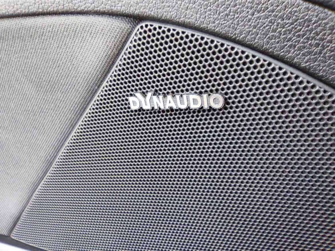 dynaudio logo - Resim 2