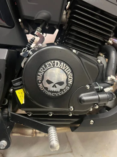 Harley-Davidson İkonik Kuru Kafa Yuvarlak Plastik Etiket