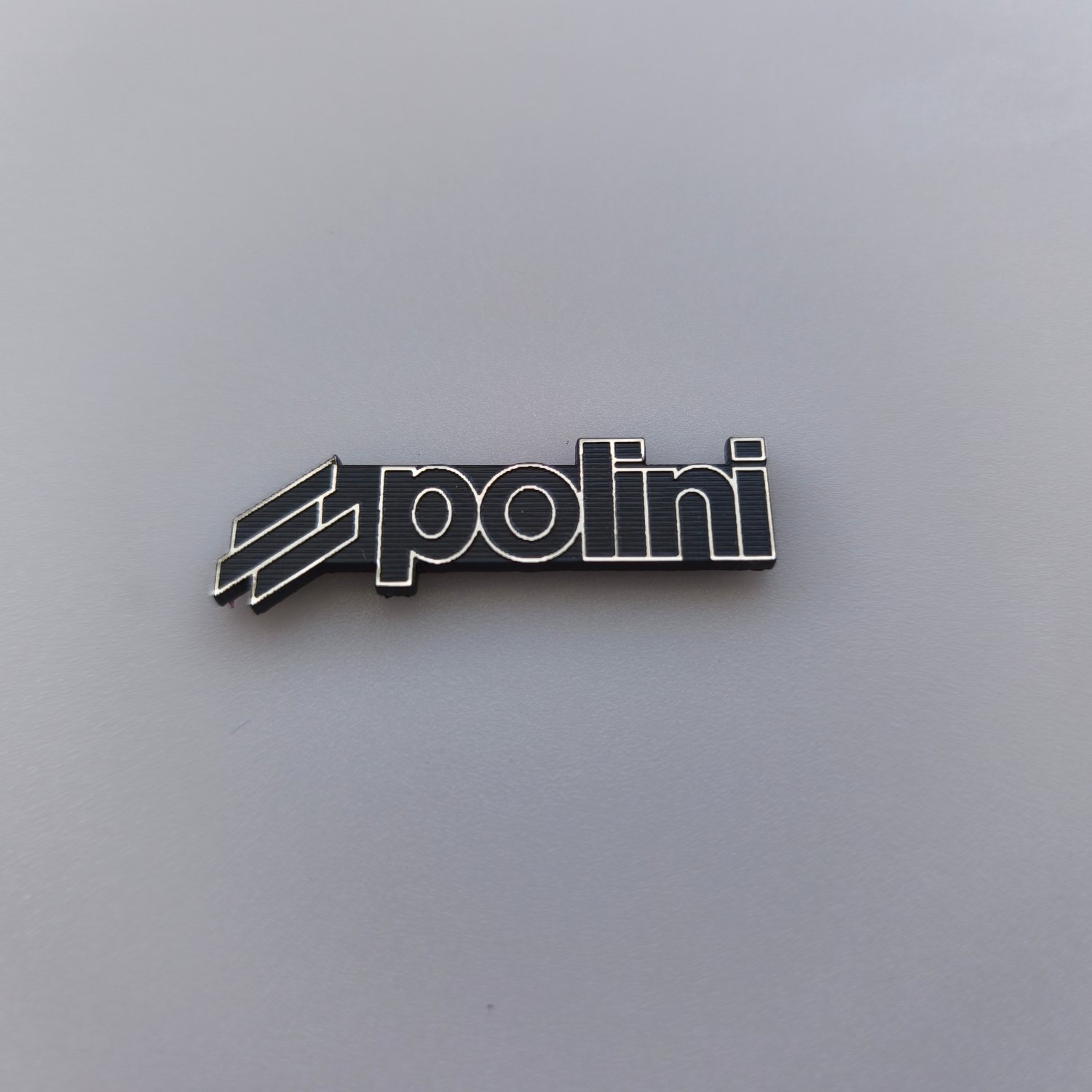 Polini logo - Görsel 1