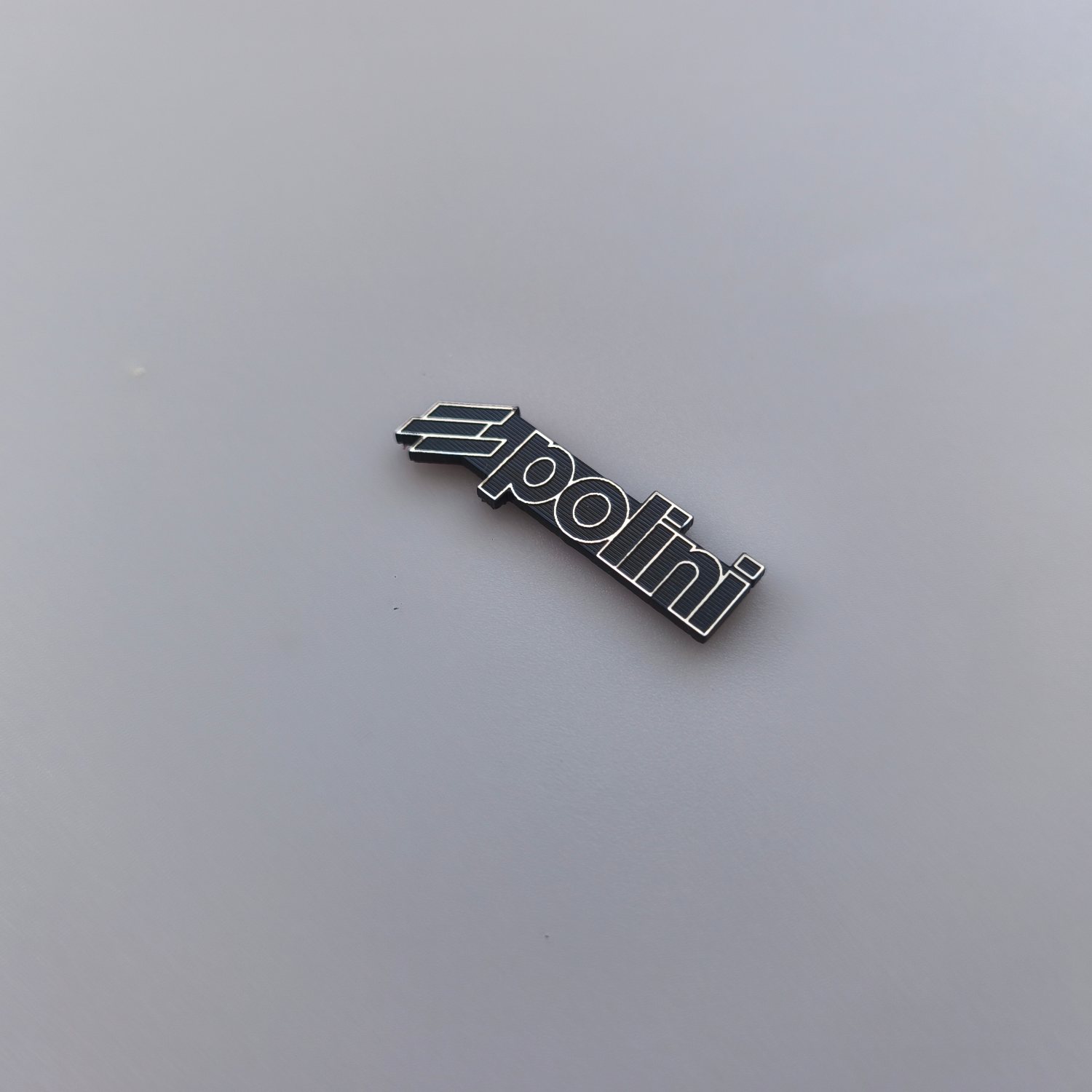 Polini logo - Görsel 6