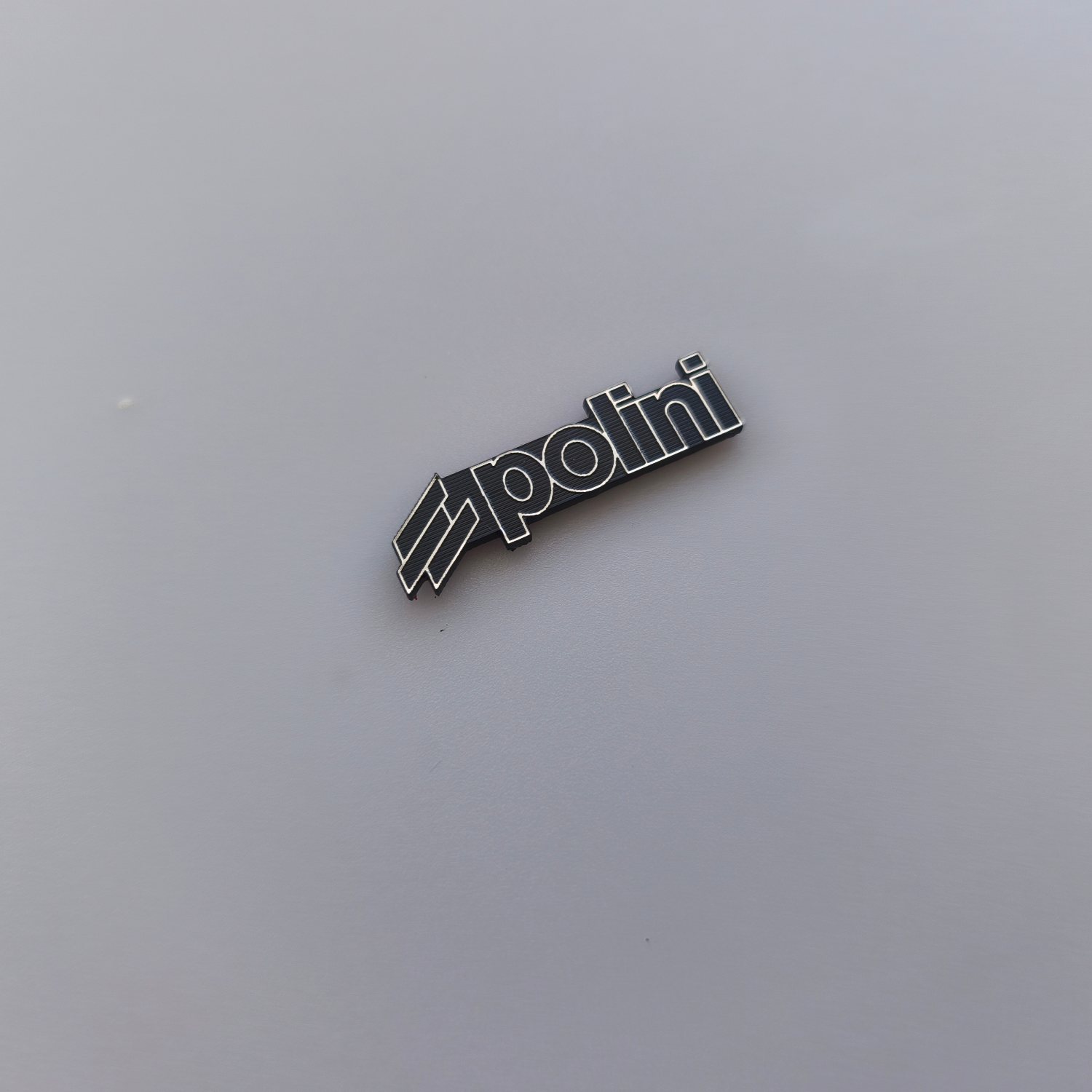 Polini logo - Görsel 7